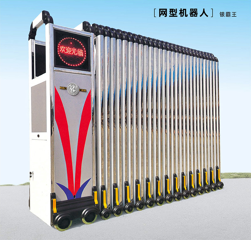 [网型机器人]银霸王
